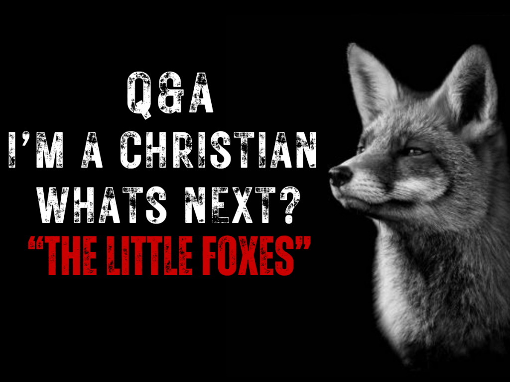 Q&A: I’m a Christian, What’s Next?